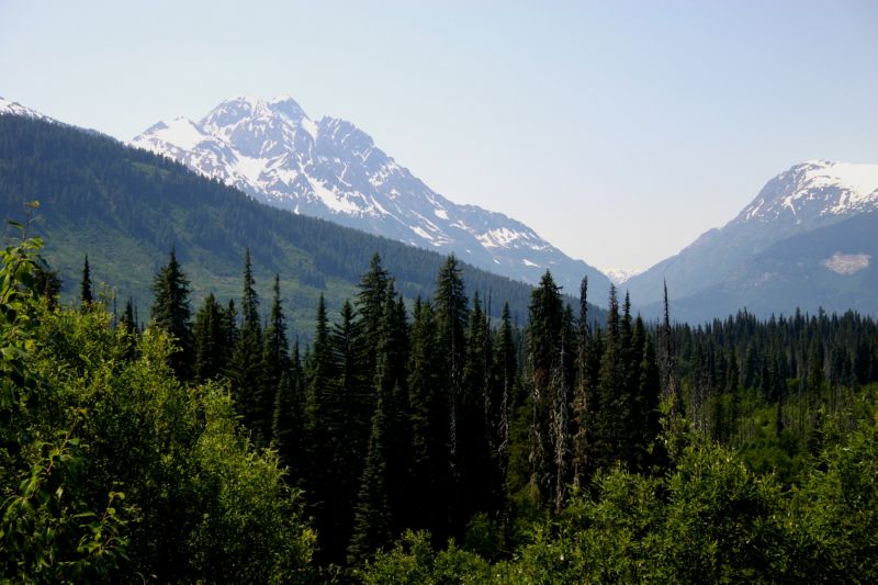 062004 P Rupert to Hyder AK (10166)